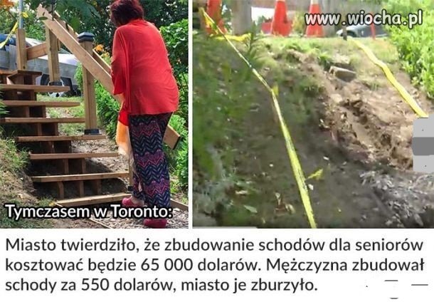 Politycy wiedzą lepiej