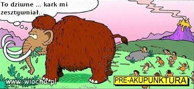 Akupunktura