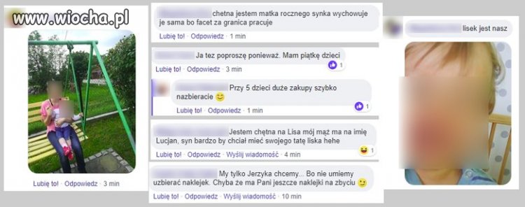 Madki  na polowaniu