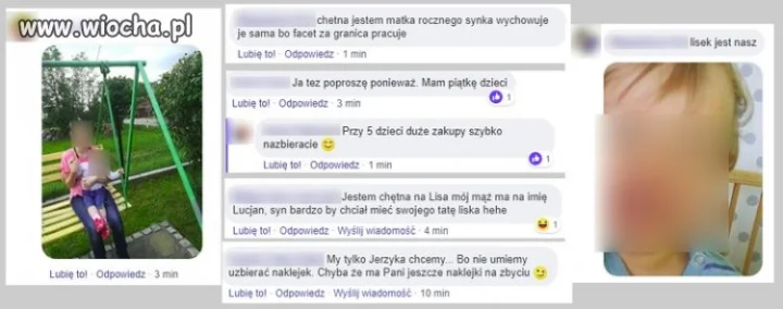 Madki  na polowaniu