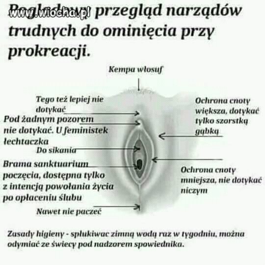 Bardzo