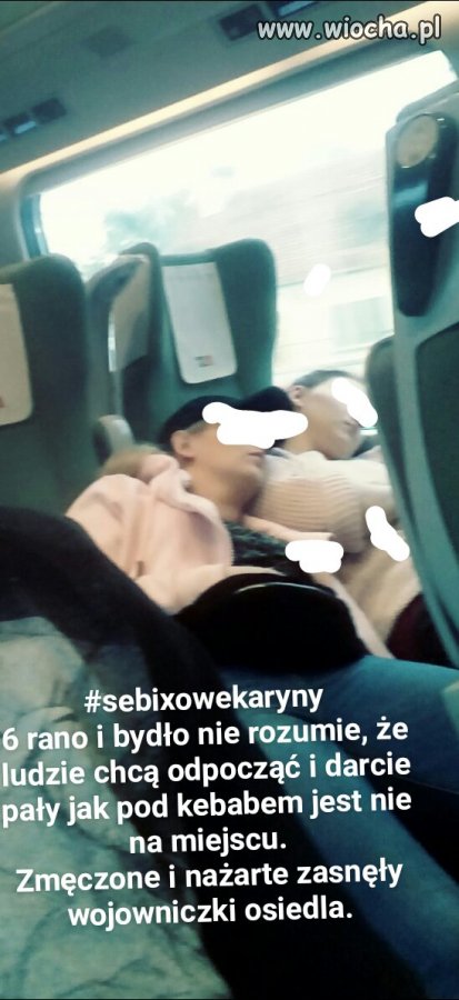 Jak zwierzęta