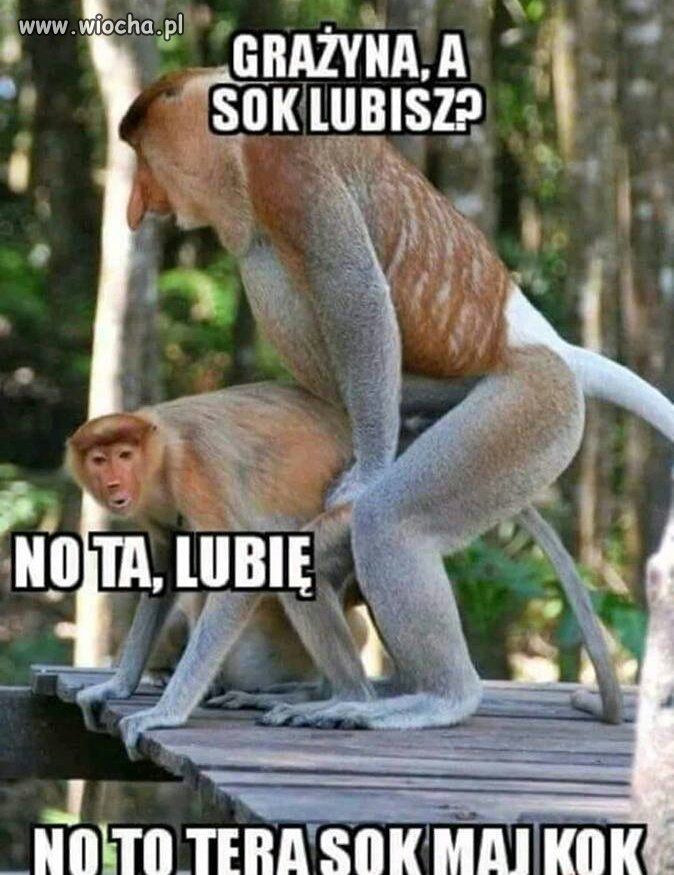 Janusz i Grażyna 