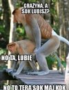 Janusz i Grażyna 