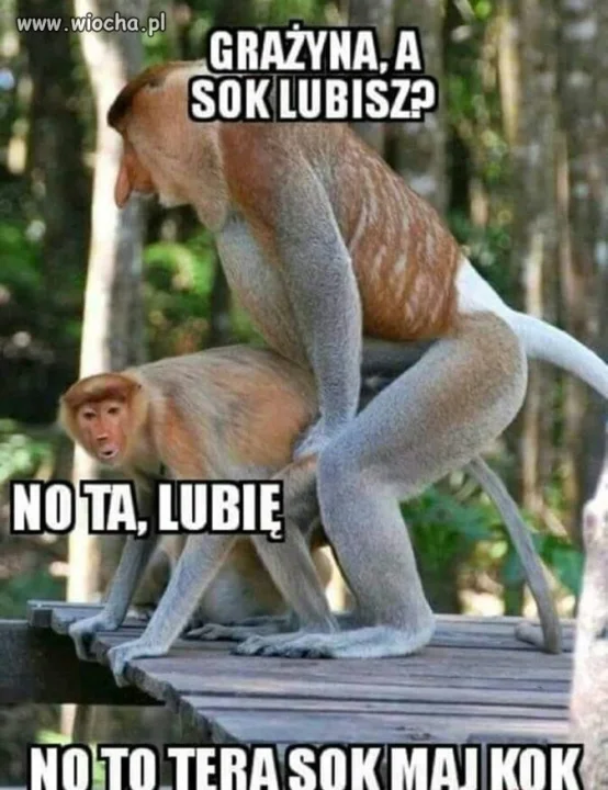 Janusz i Grażyna 