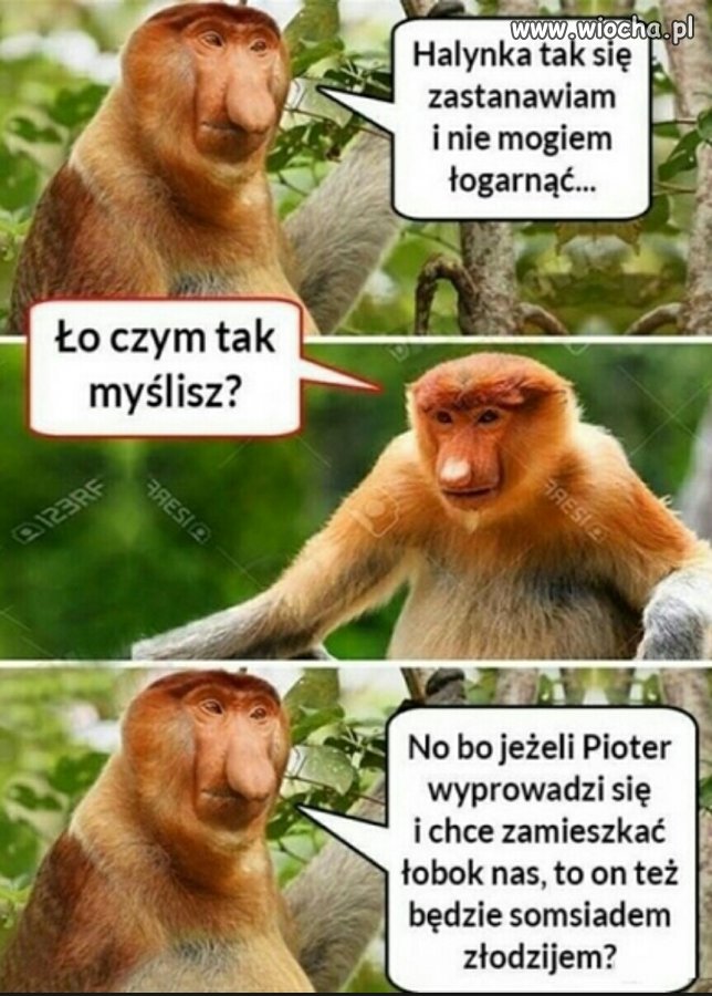 Przemyślenia Janusza 