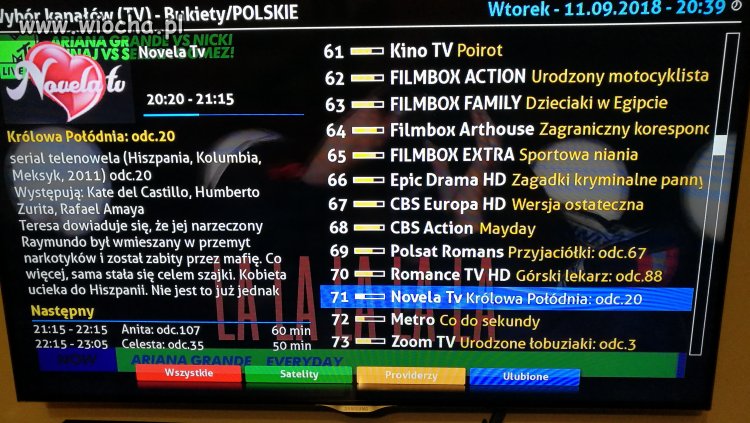 Mistrz EPG