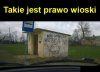 Prawo