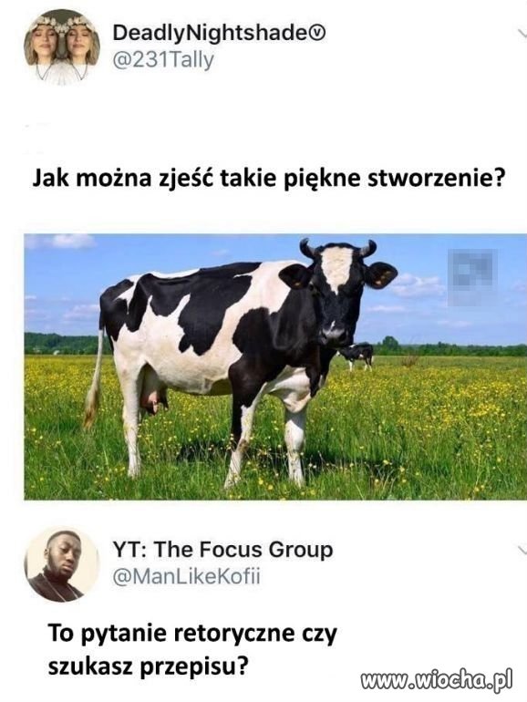 Zasadnicze