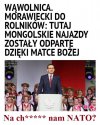 No właśnie