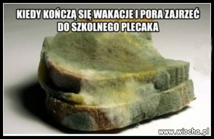 Niespodzianka