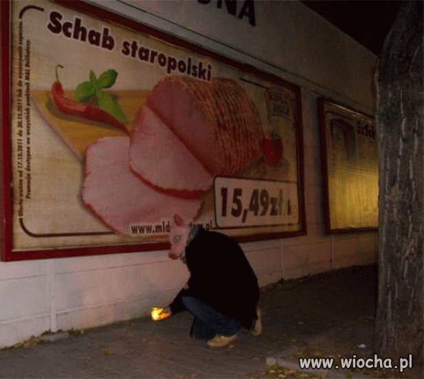 Znicz dla przyjaciela