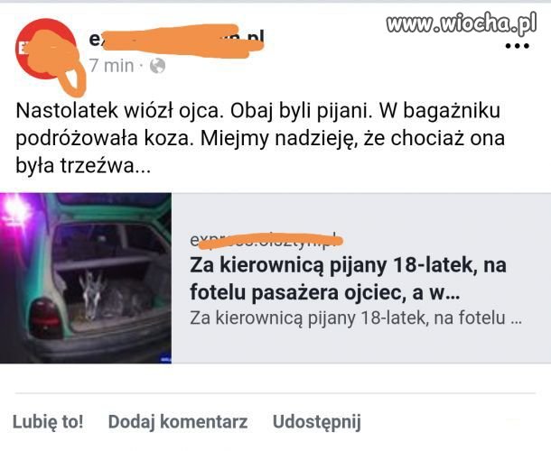 Tylko dlaczego w bagażniku?