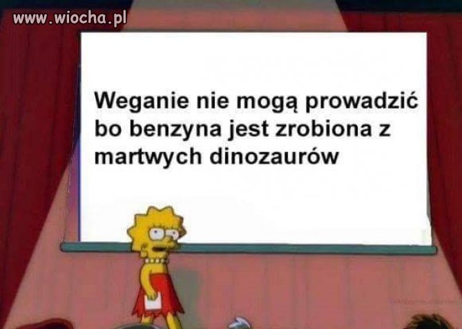 Czemu weganie nie mogą prowadzić