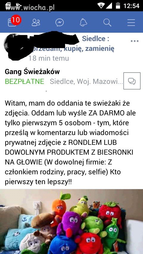 Powrót świeżaków