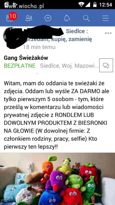 Powrót świeżaków