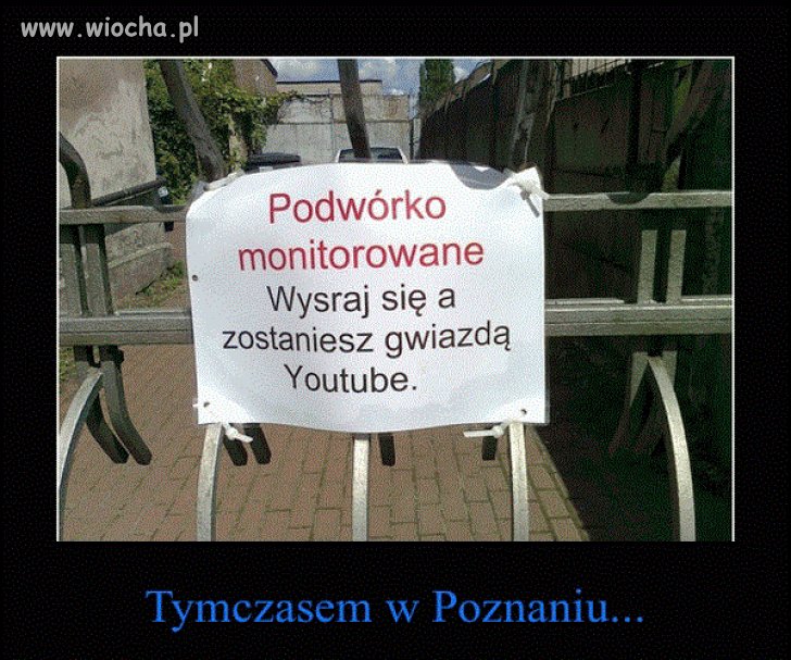 Zostań gwiazdą