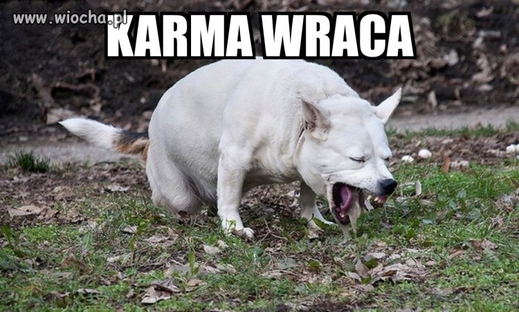 Karma wraca