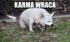 Karma wraca