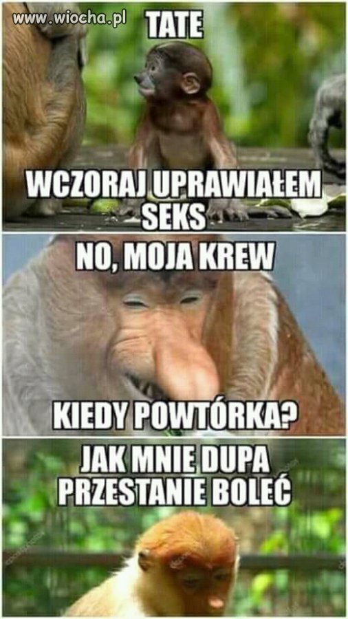 Cały