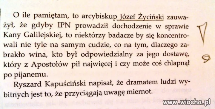 IPN..