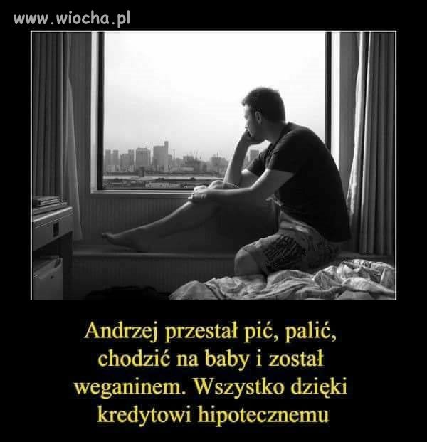 Takich Andrzejów to teraz multum