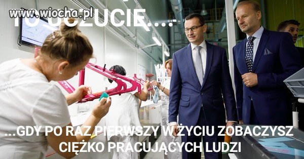 Pinokio poznaje swiat