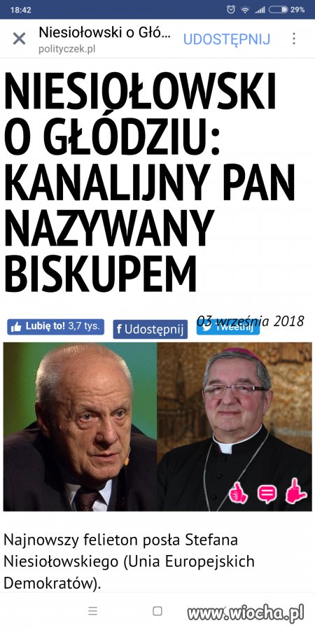 Fioletowy 