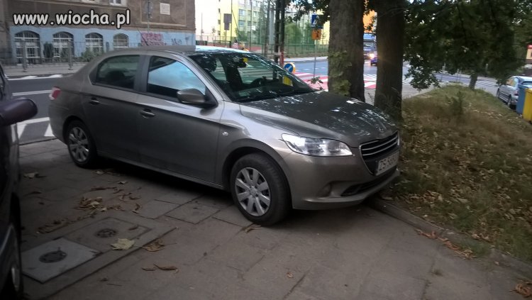 Parkingowy idiota w Szczecinie