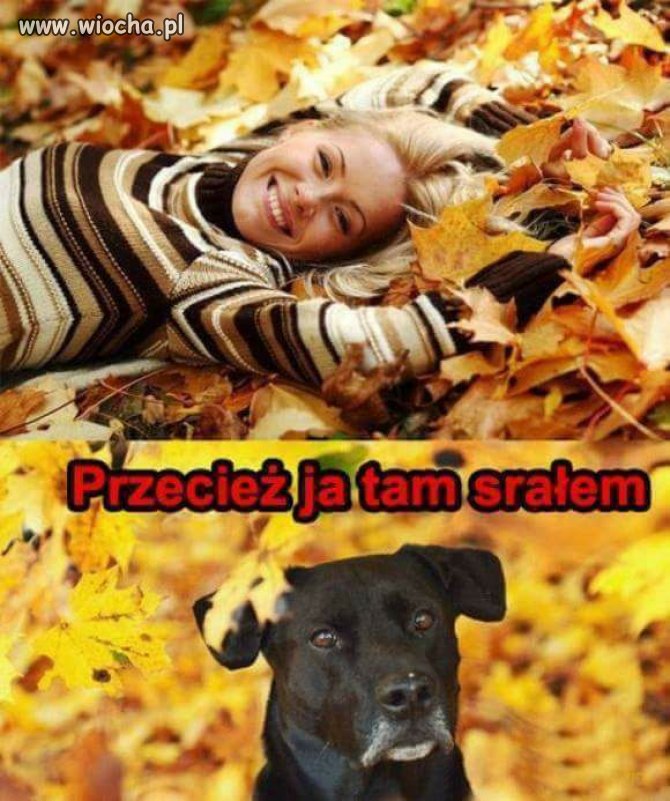 No właśnie 