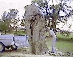Tak tak...