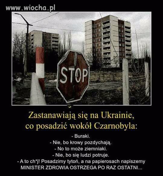 Opis