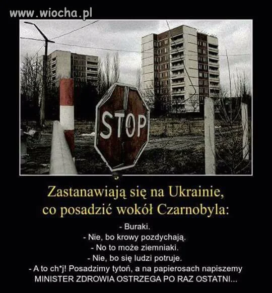 Opis
