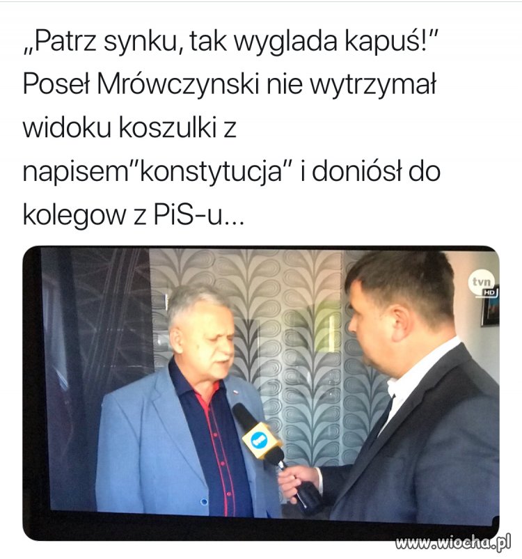 Z cyklu poczet sygnalistów pisu