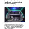 Porwał Koziołka Matołka 