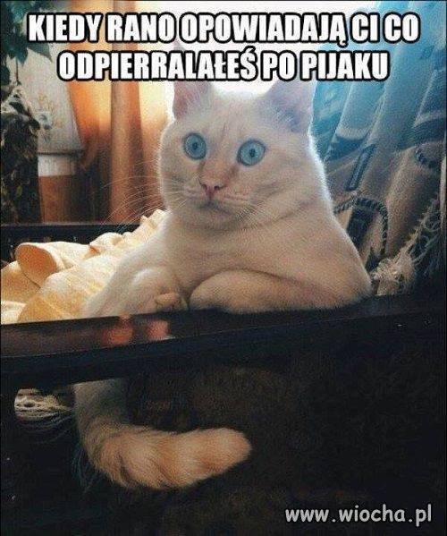 Dziś rano