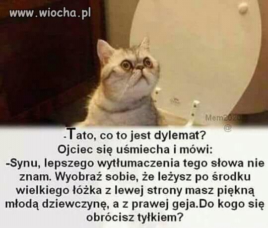 To właśnie