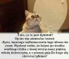 To właśnie