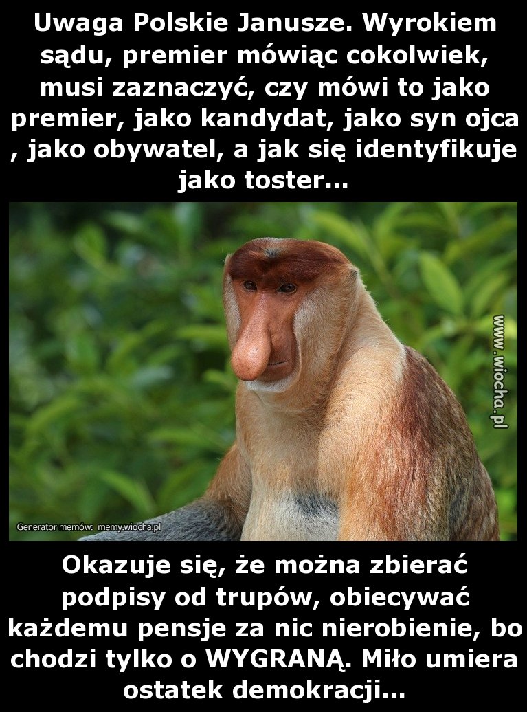 Uwaga Polskie Janusze. Wyrokiem sądu, premier