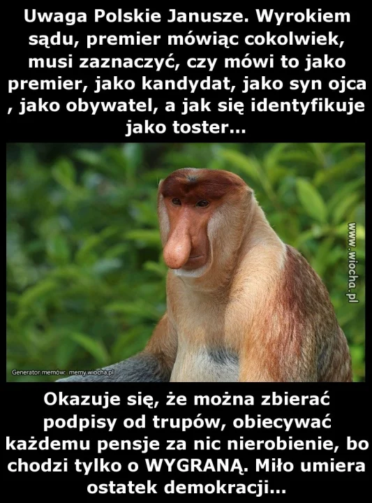 Uwaga Polskie Janusze. Wyrokiem sądu, premier