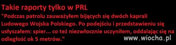 Raporty milicji