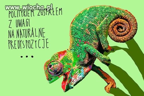 Naturalne predyspozycje