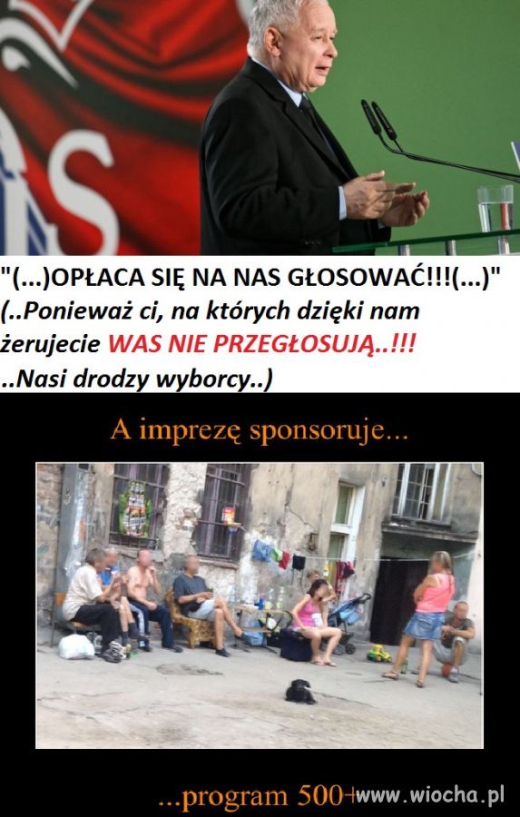 Opłaca się..