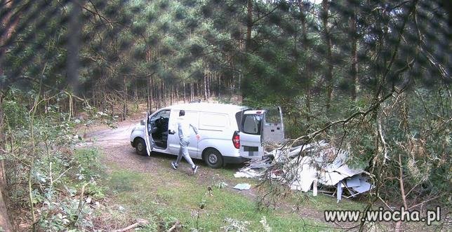 Ornitolog siedząc na drzewie