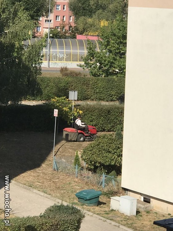 Kiedy miasto/ spółdzielnia ma za dużo pieniędzy