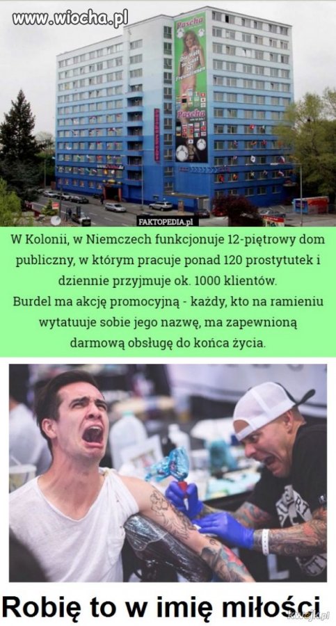 Promocja w Niemczech