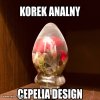 Cepelia Design