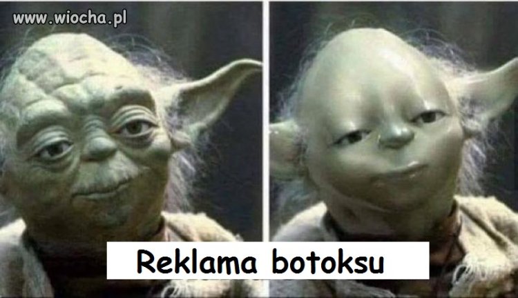 O w dupę węża