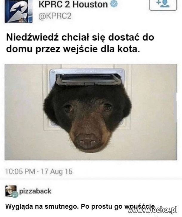 Wpuśćcie