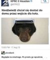 Wpuśćcie